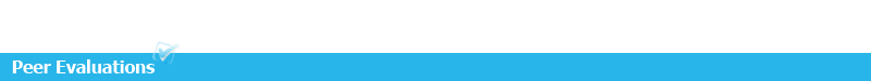 Peer Evaluations